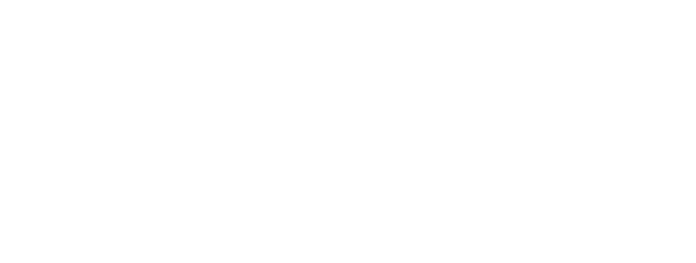 Logo Swansea Chiropractic Clinic