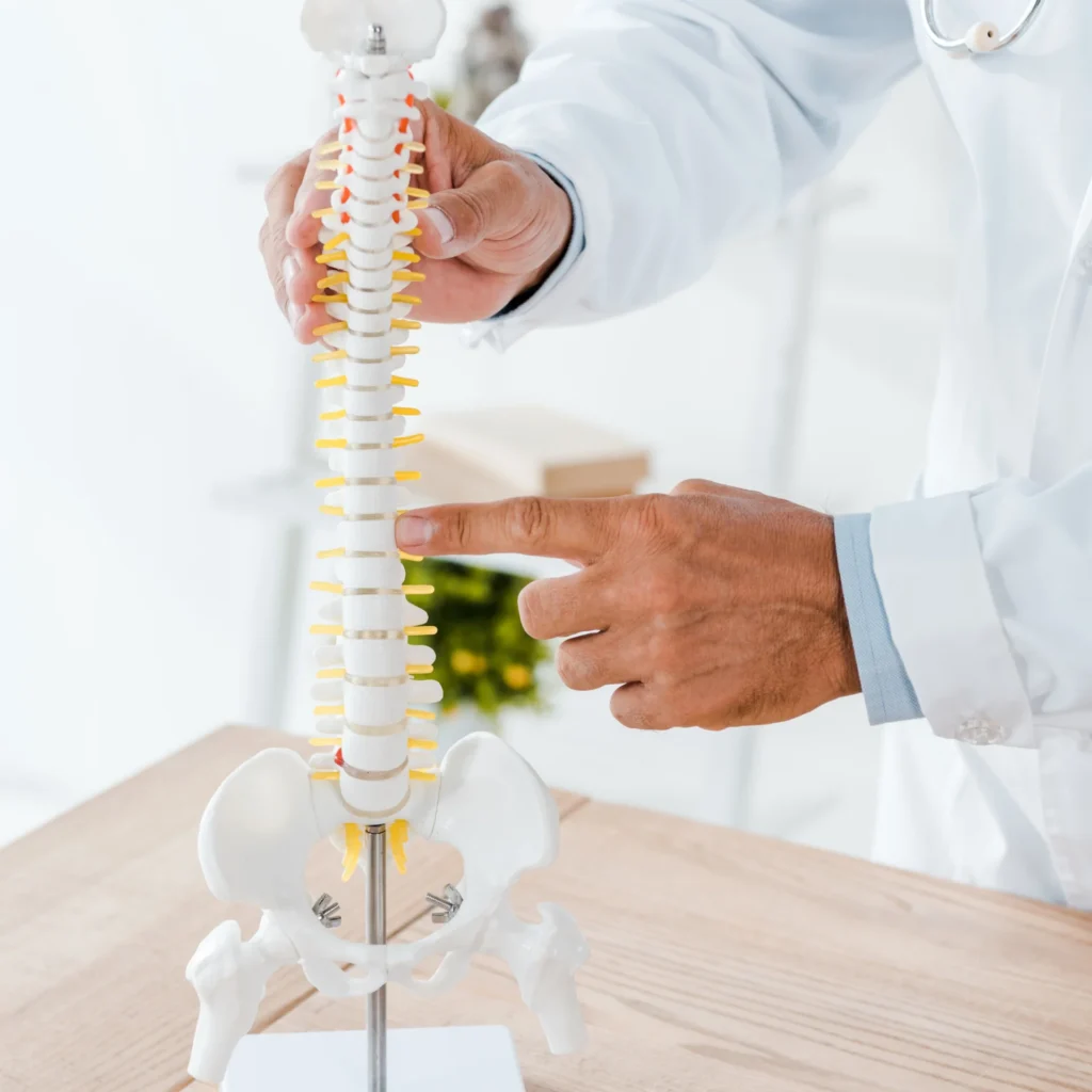 doctor explaining spine model in the office 2026 03 11 04 21 29 utc